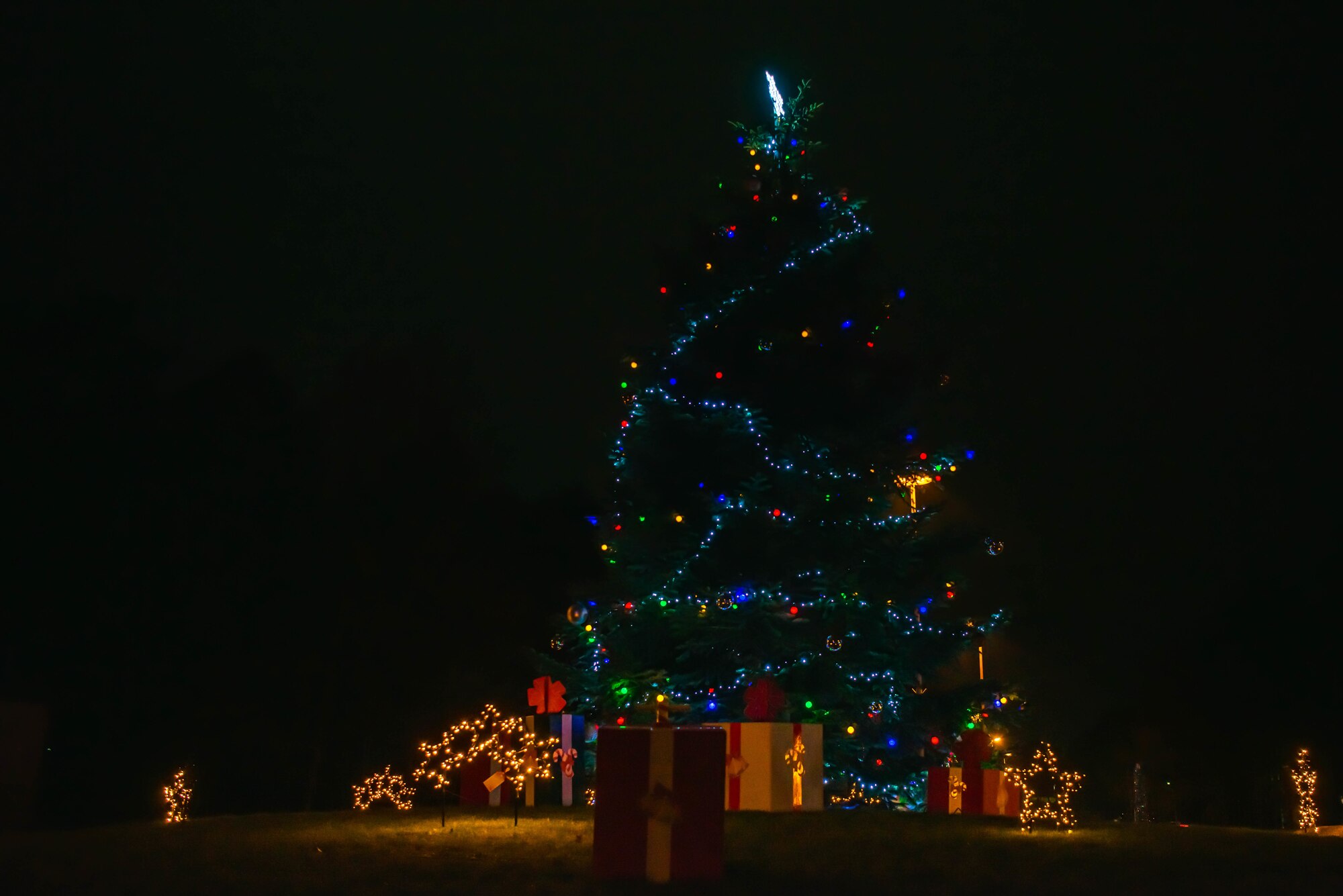 Christmas Tree stands in the roundabout