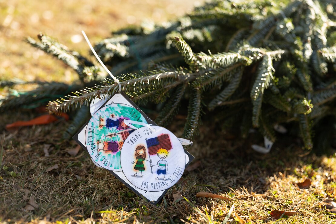 Trees for Troops spread Holiday Cheer on MCB Camp Lejeune