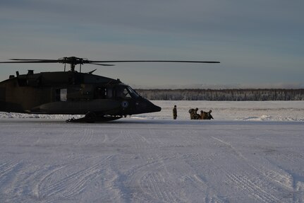 University of Alaska Army ROTC cadets’ stage at the designated landing zone on the Malemute drop zone on Joint Base Elmendorf-Richardson Alaska, Dec. 2, as an Alaska Army National Guard UH-60L Black Hawk helicopter assigned to 1-207th Aviation Regiment approaches to conduct an extraction. The Seawolf ROTC Detachment maneuvered across more than one mile of frozen terrain to assault opposition forces and secure its objective. The Alaska Army National Guard’s General Support Aviation Battalion routinely trains with all branches of the military as well as civilian agencies to increase its operational interoperability and to be ready for a wide range of federal and state missions.