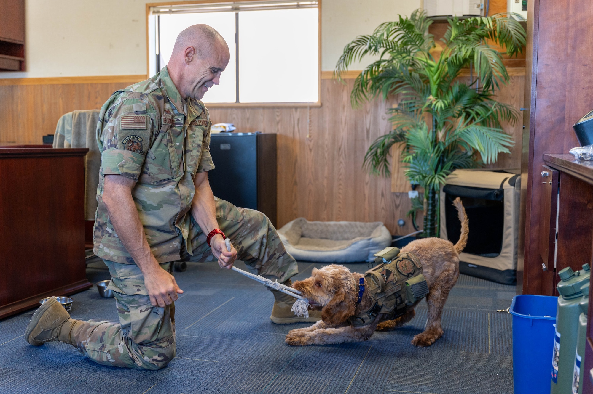 U.S. Air Force Col. Adam Roberts, the 555 RED HORSE Squadron commander, and his service dog, Porsche, take a moment to bond and play tug-of-war at Nellis Air Force base, Nevada, September 20, 2022. Roberts trained Porsche to function as a service animal and to be able to engage with fellow Airmen by accepting vulnerability. (U.S. Air Force photo by Staff Sgt. Timothy Leddick) (this photo has been edited to enhance the subjects)