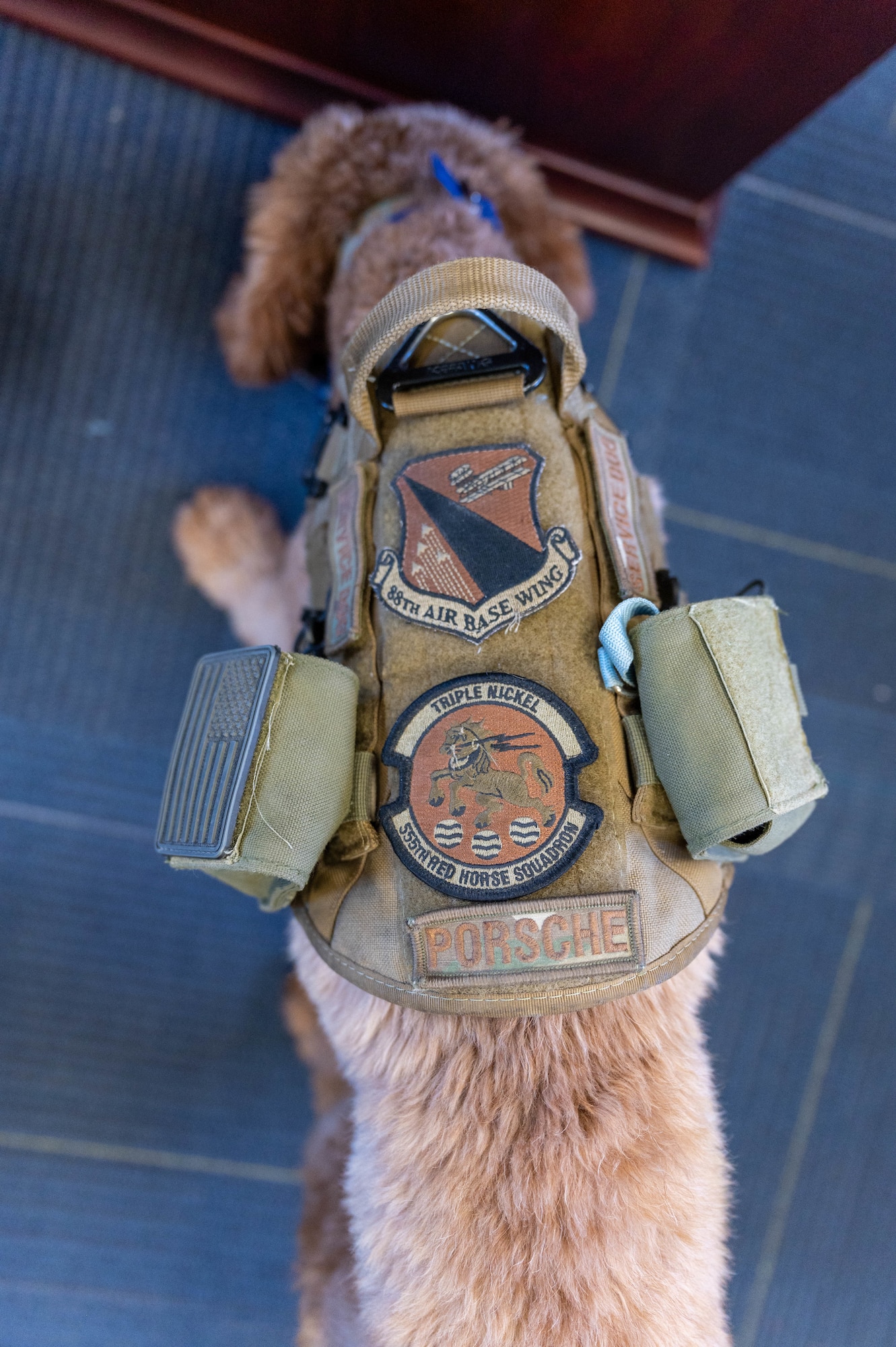 U.S. Air Force Col. Adam Roberts', the 555 RED HORSE Squadron commander, service dog, Porsche, eats her chow at Nellis Air Force base, Nevada, September 20, 2022. Roberts trained Porsche to assist with his sleep paralysis and to engage with fellow Airmen by accepting vulnerability.