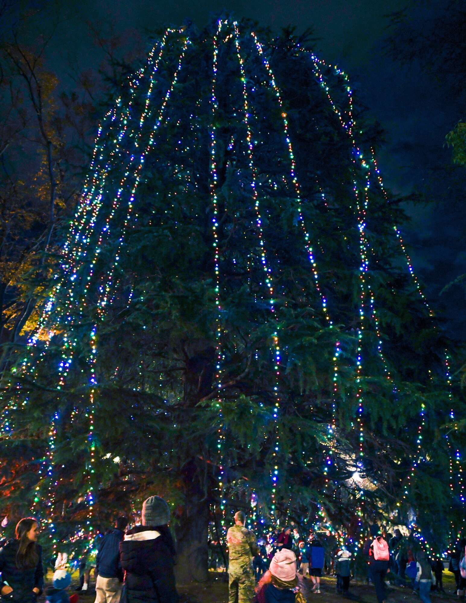 A tree with lights.