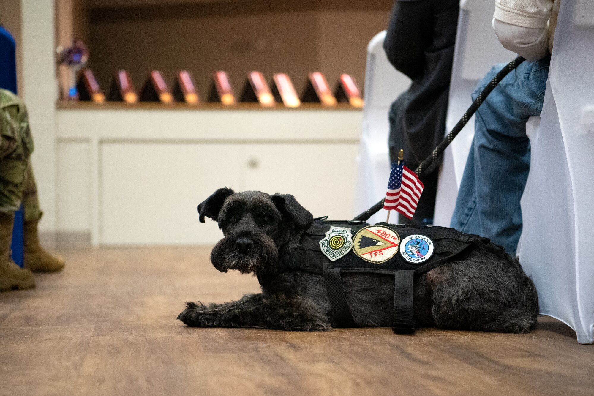 Sparky, a service dog, sits beside his owner during a Veterans Day ceremony in Sumter, S.C., Nov. 11, 2022. Sumter is home to a military population of over 31 thousand, over 16 thousand of whom are military retirees. (U.S. Air Force photo by Staff Sgt. Kelsey Owen)