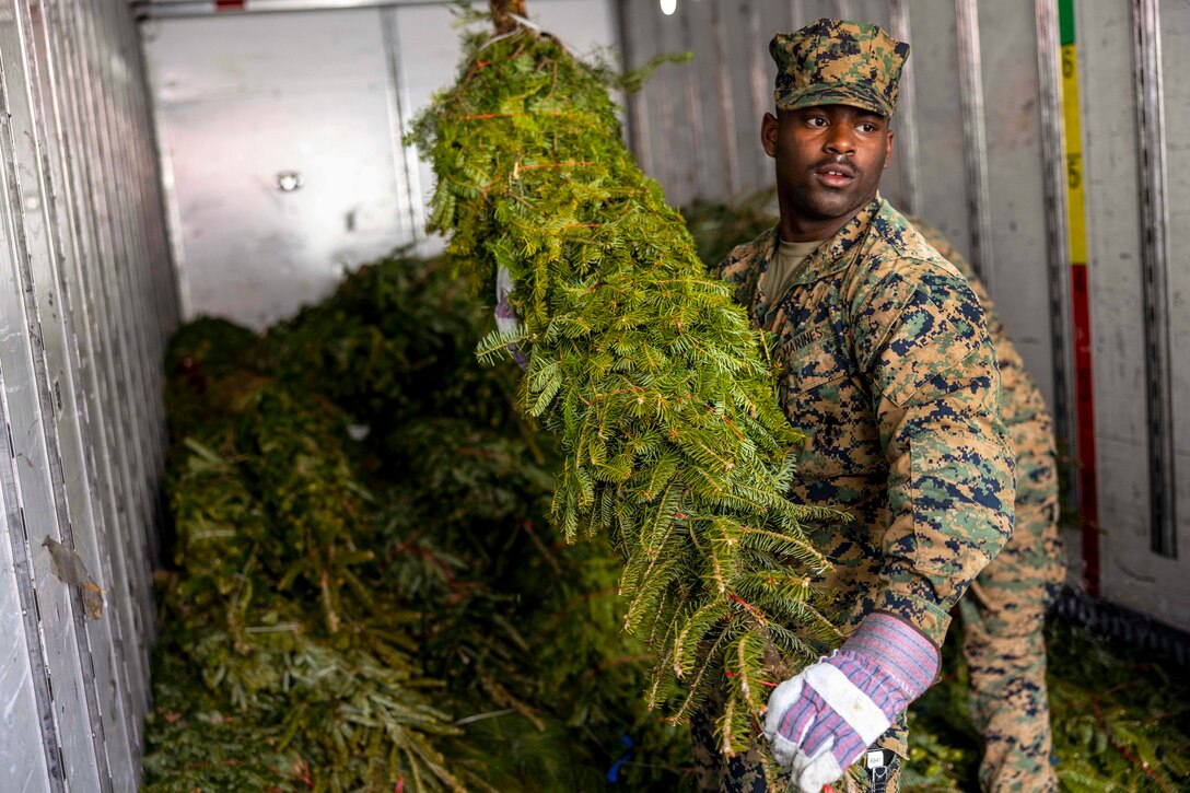 A Marine unloads Christmas trees from a truck.