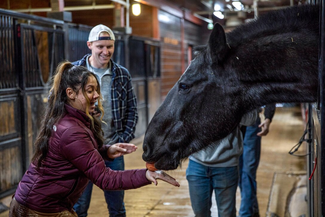 A person in civilian clothes holds out their hand as a horse licks it inside a stable.