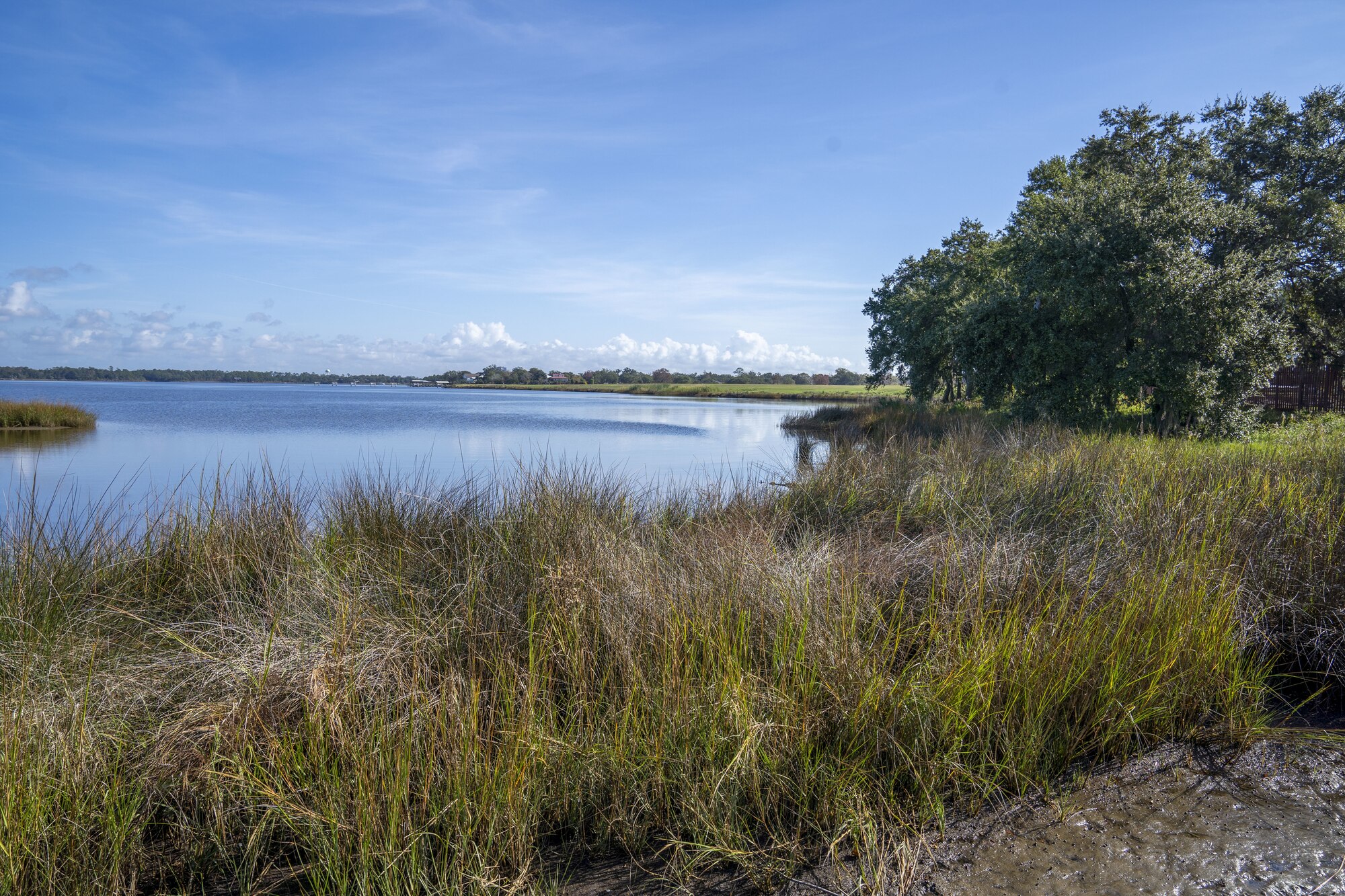 The shoreline adjacent to Keesler Air Force Base is a part of the National Coast Resilience Fund project to construct a 2.5 mile living shoreline on the Biloxi Back Bay, Dec. 7, 2022. A living shoreline is a protected and stabilized shoreline made of natural materials such as plants, sand or rock. (U.S. Air Force photo by Senior Airman Kimberly L. Mueller)