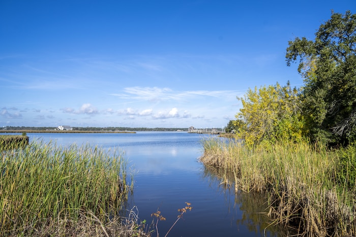 The shoreline adjacent to Keesler Air Force Base is a part of the National Coast Resilience Fund project to construct a 2.5 mile living shoreline on the Biloxi Back Bay, Dec. 7, 2022. A living shoreline is a protected and stabilized shoreline made of natural materials such as plants, sand or rock. (U.S. Air Force photo by Senior Airman Kimberly L. Mueller)