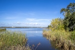 The shoreline adjacent to Keesler Air Force Base is a part of the National Coast Resilience Fund project to construct a 2.5 mile living shoreline on the Biloxi Back Bay, Dec. 7, 2022. A living shoreline is a protected and stabilized shoreline made of natural materials such as plants, sand or rock. (U.S. Air Force photo by Senior Airman Kimberly L. Mueller)