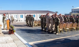 Soldiers salute