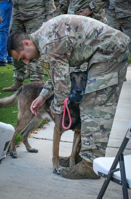 Photo shows man playing with dog using a Kong toy.