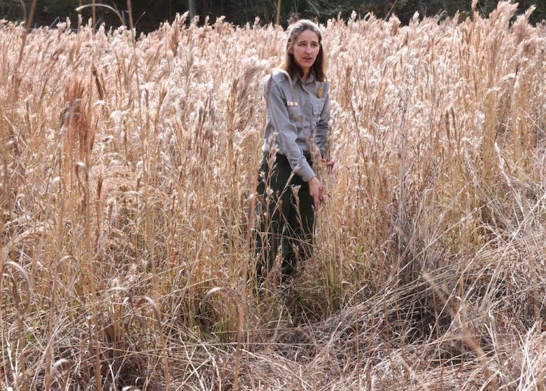 Woman in tall grass