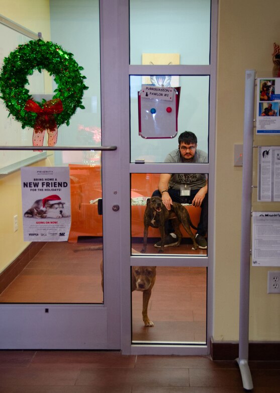 Helping Man & Beast -- NAVIFOR Sailors Give Back to Local Animal Shelter  supporting photo