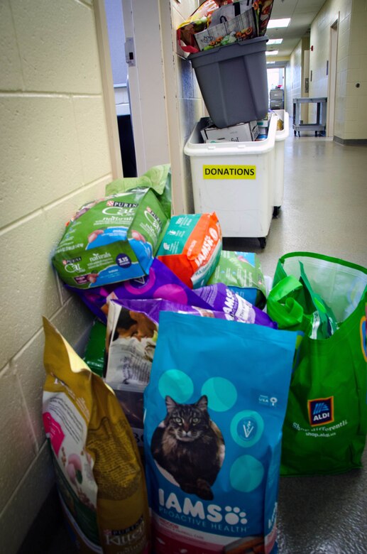 Helping Man & Beast -- NAVIFOR Sailors Give Back to Local Animal Shelter  supporting photo