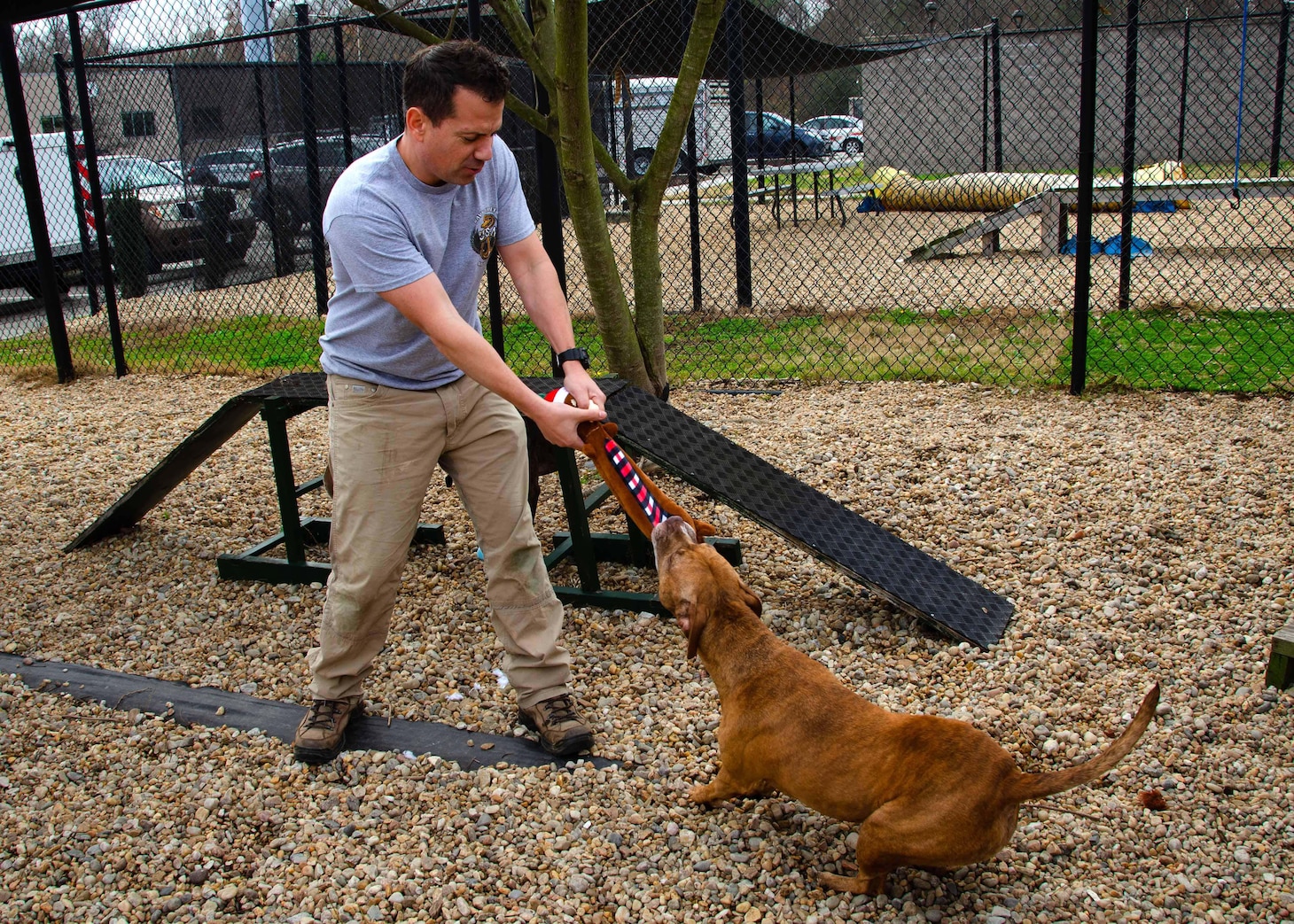 Helping Man & Beast -- NAVIFOR Sailors Give Back to Local Animal Shelter  supporting photo