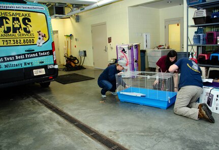 Helping Man & Beast -- NAVIFOR Sailors Give Back to Local Animal Shelter  supporting photo