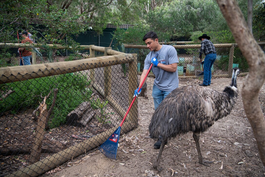 Men use rakes to clean debris from the ground.