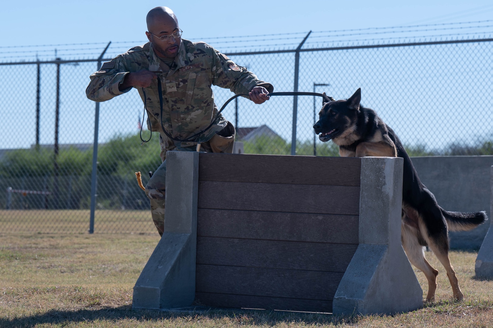 male serviceman leading dog over a high barrier
