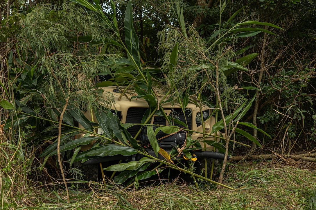 A military vehicle is hidden in heavy vegetation.