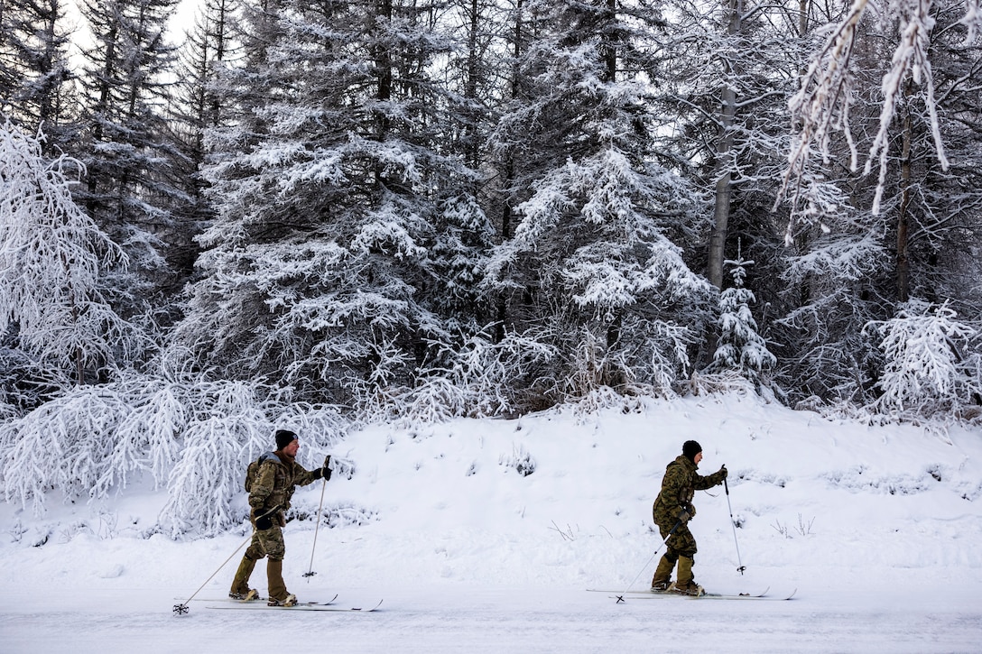 Marines ski in a snowy wooded area.