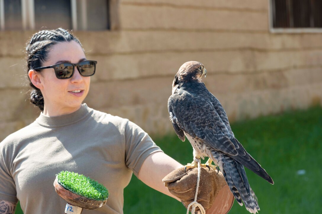 An airman holds a falcon.