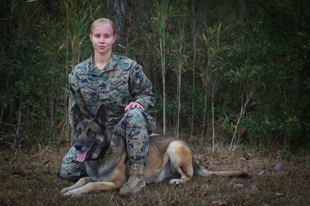 Military Working Dogs and their Handlers