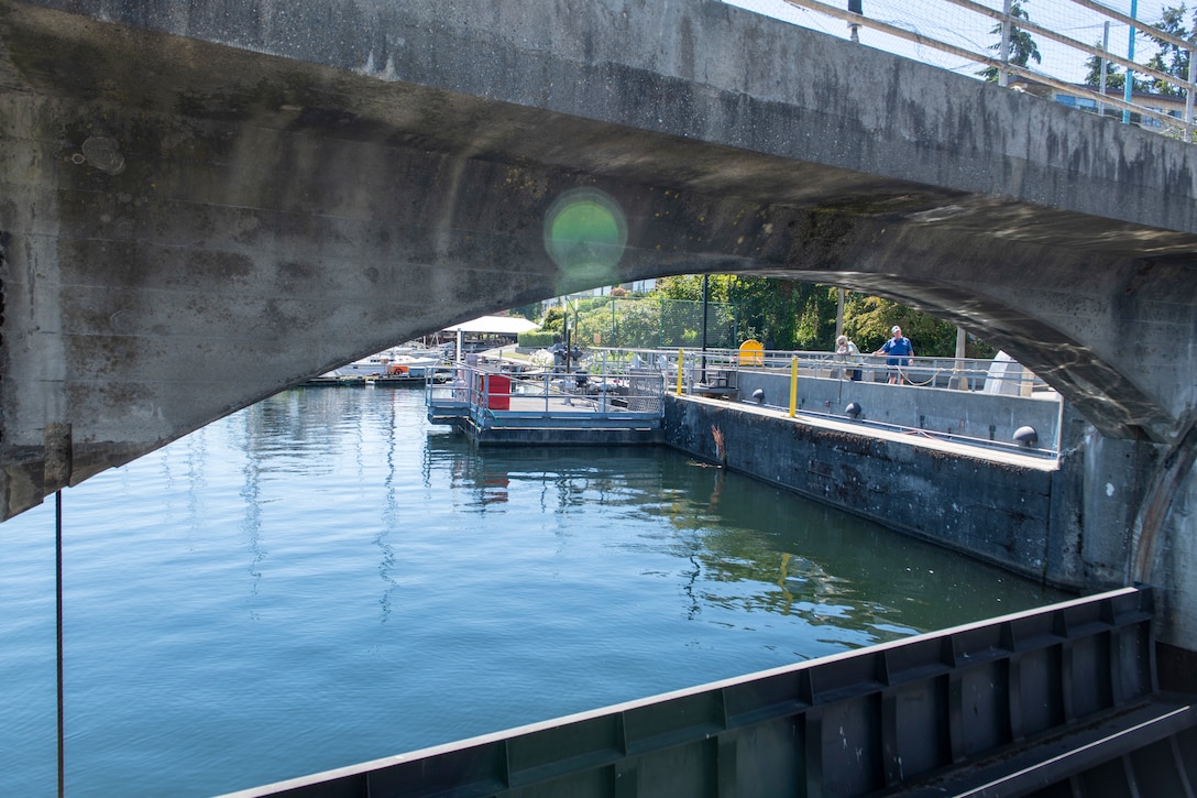 Photo of people looking at the fish ladder and the Salmon Waves sculpture at Lake Washington Ship Canal and Hiram M. Chittenden Locks, Seattle, Washington.