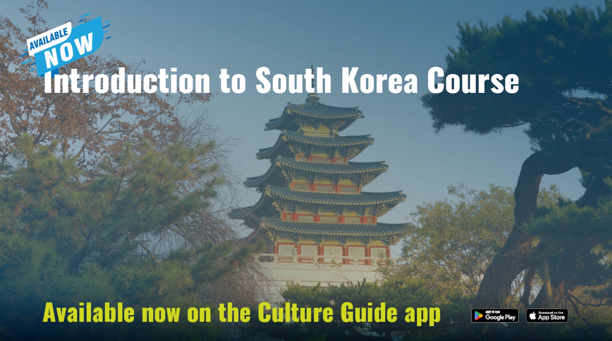 Korea course graphic