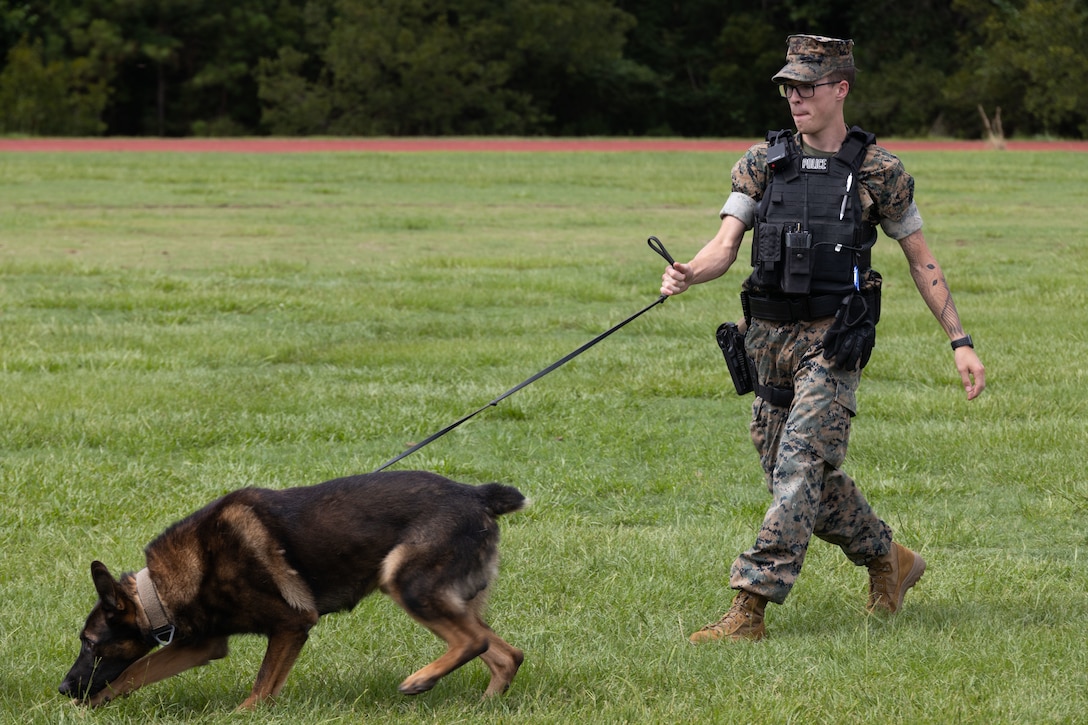 U.S. Marine Corps Lance Cpl. Quinten Jones, a Military Working Dog (MWD) handler, demonstrates the capabilities of MWDs at Marine Corps Air Station (MCAS) Beaufort, S.C. July 14, 2022. MWDs and their handlers mission is to ensure the safety of MCAS Beaufort with capabilities such as locating drugs and explosives, as well as taking down suspects when necessary. (U.S. Marine Corps photo by Lance Cpl. Isaac Jones)