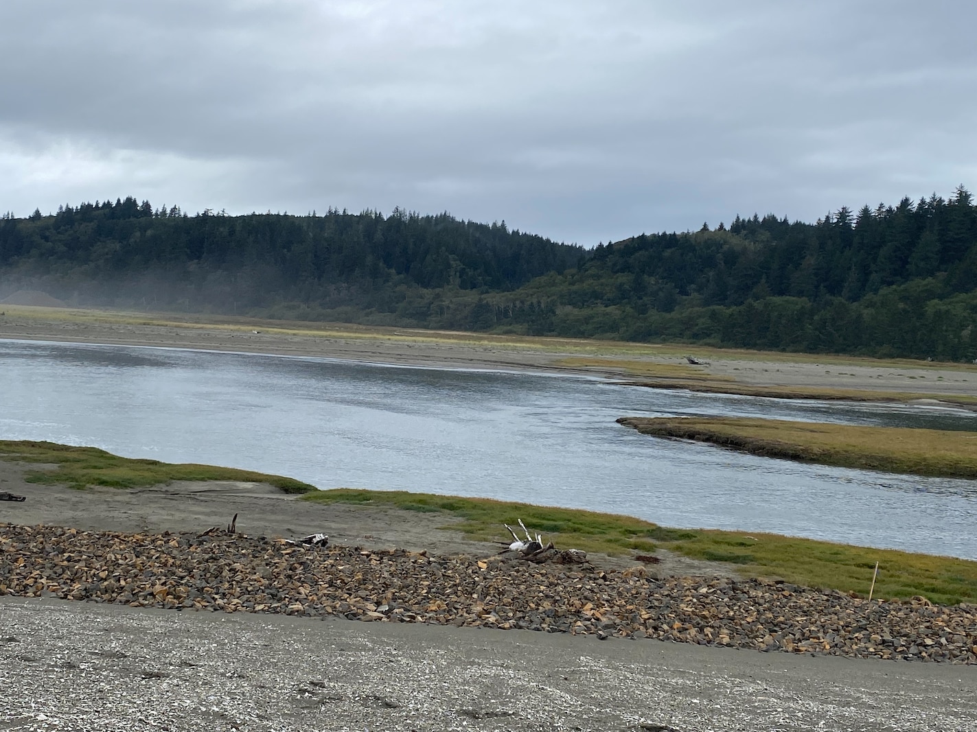 Photo of Willapa Bay, one of the largest estuarine systems on the Pacific Ocean coast of Washington State.