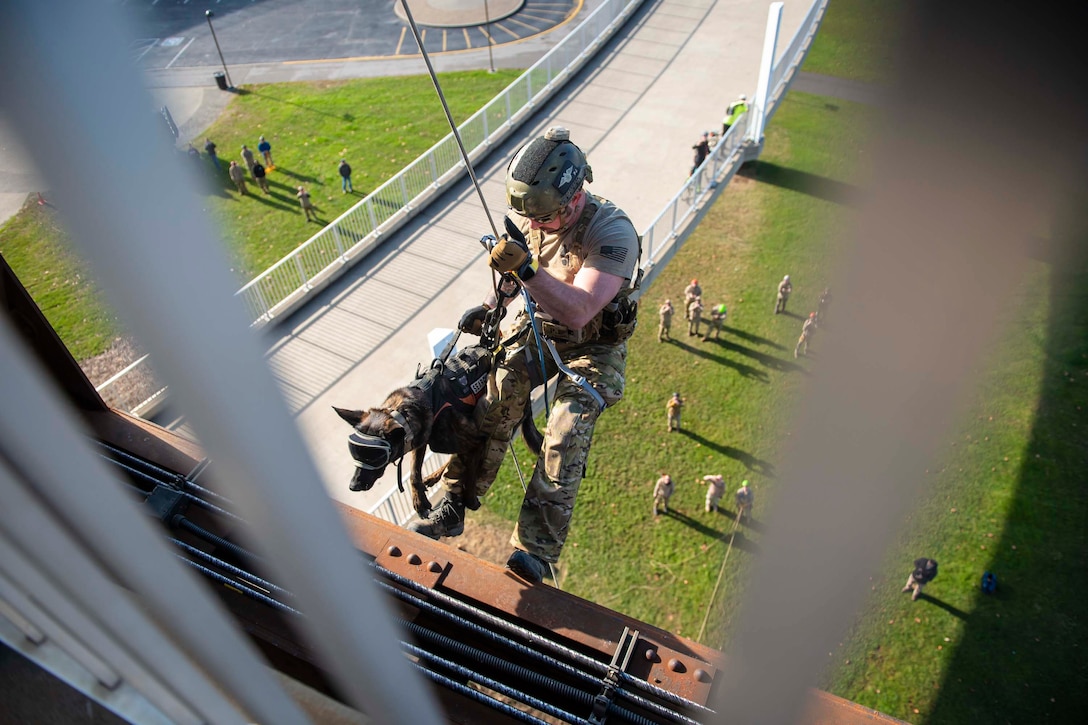 An airman rappels down a building with a dog as other watch below.