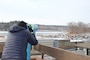 A man eagle watches from the deck at the Illinois Waterway Visitor Center in Utica, Illinois.