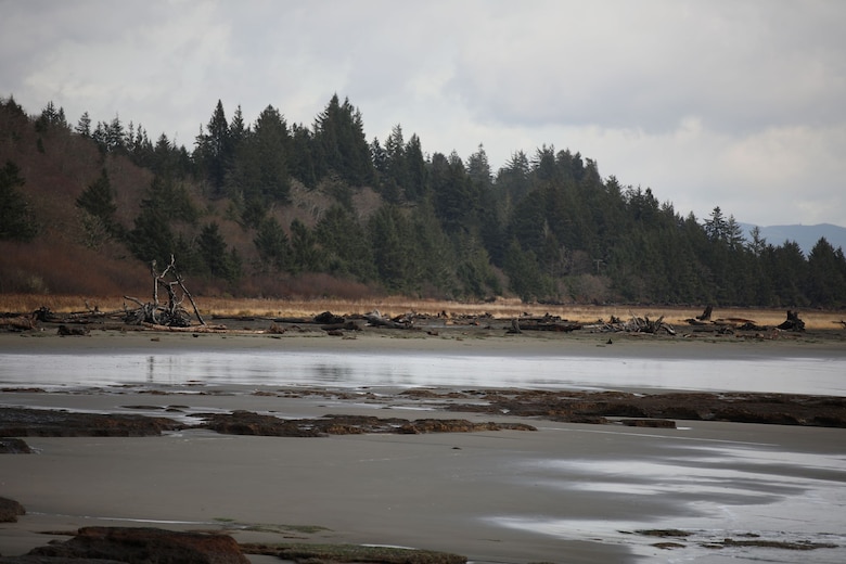 Photo of a portion of approximately 11,400 acres intertidal and uplands on the Shoalwater Reservation.