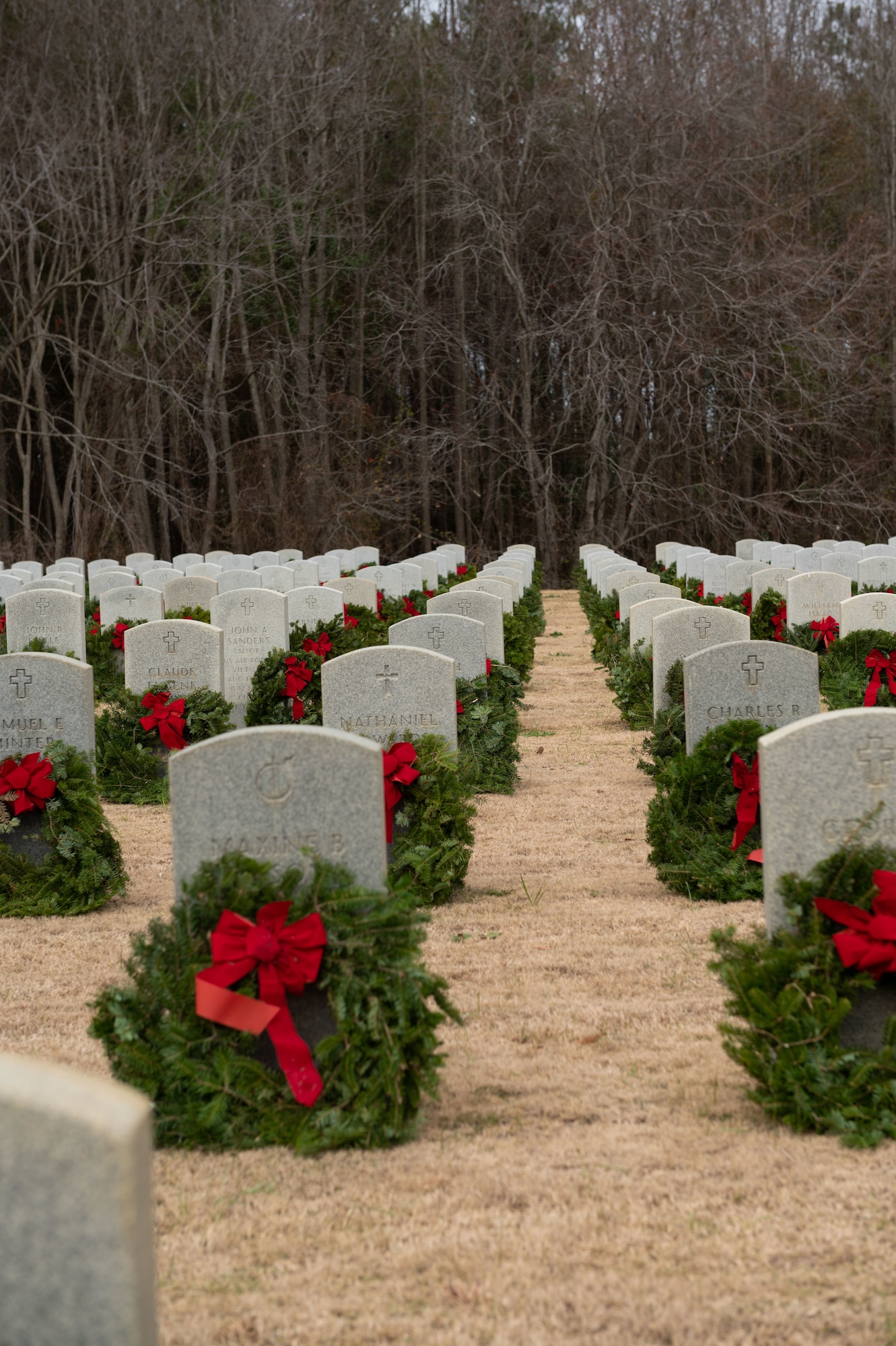 Headstones are decorated with wreaths during Wreaths Across America at Eastern Carolina Veterans Cemetery, Goldsboro, North Carolina, Dec. 17, 2022. The event is held in unity with national cemeteries nationwide to honor those who have served and their families. (U.S. Air Force photo by Airman 1st Class Rebecca Sirimarco-Lang)