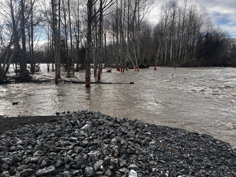 Outdoor scene with partly cloudy sky and trees in the background. Foreground shows water from the Nooksack river flowing over and through a levee breach