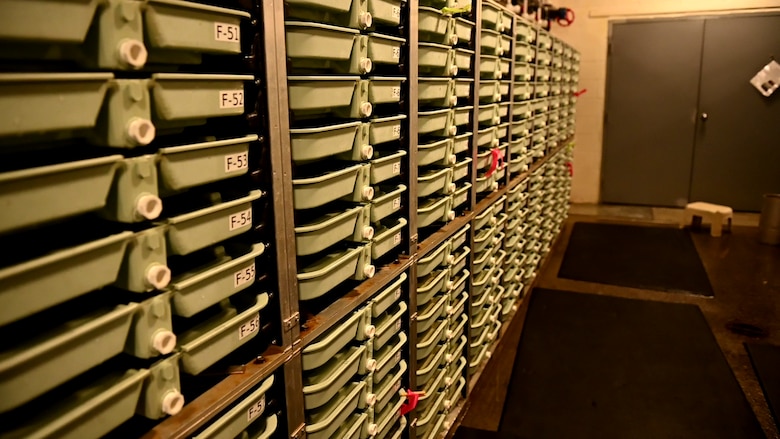 At the hatchery, eggs and milt are collected from returning adult salmonids and the fertilized eggs are placed in incubation trays and kept in water from the Dworshak reservoir. The hatchery regulates the temperature and flow of water in the trays to keep the eggs healthy and growing at an appropriate rate.