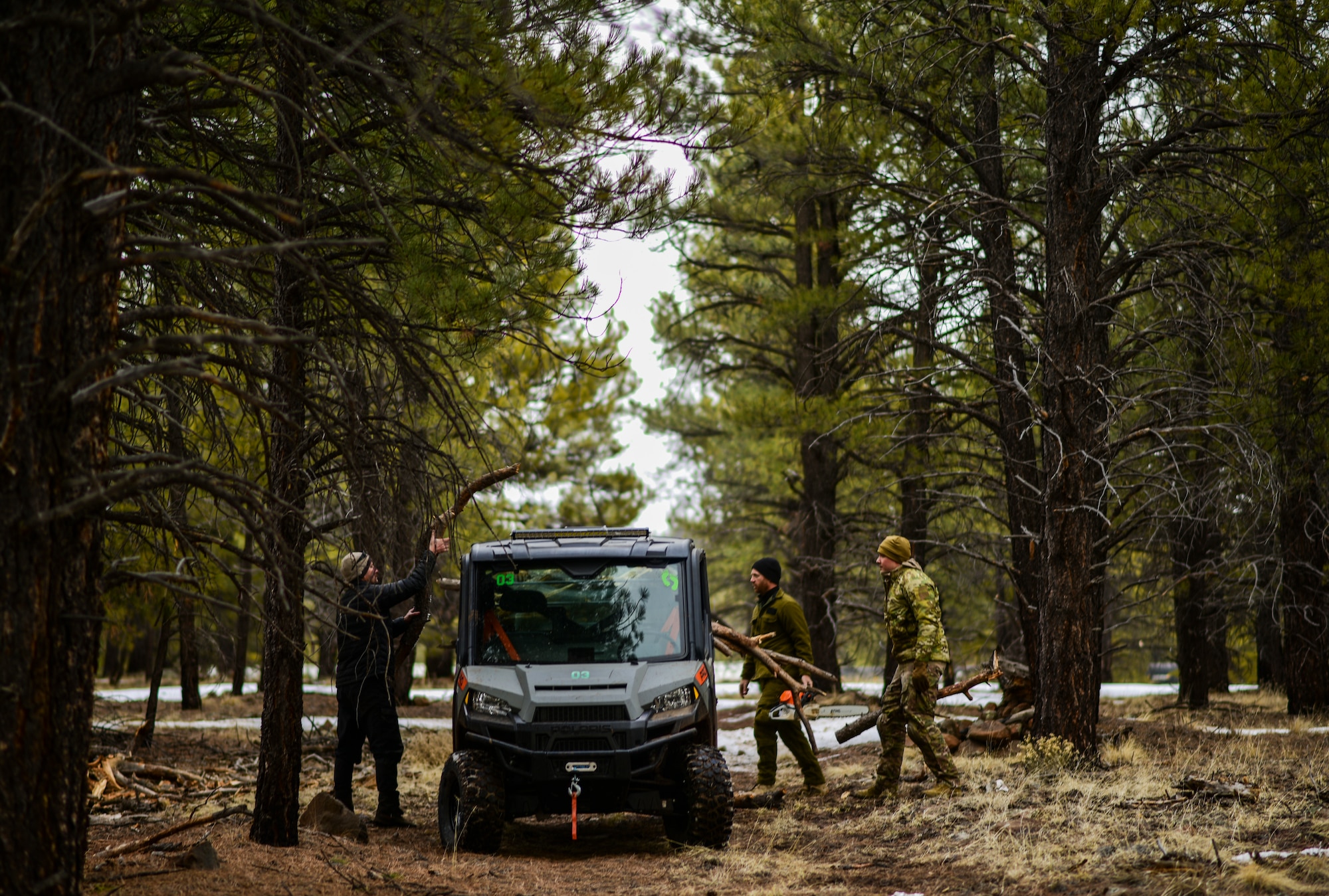 a photo of Airmen gathering firewood