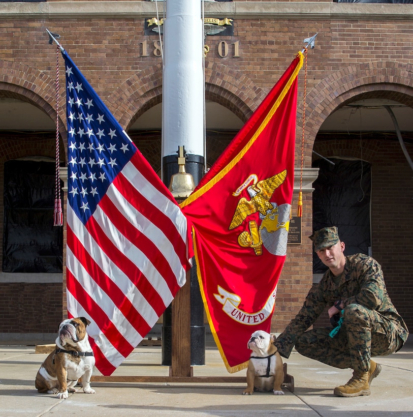 From left, Lance Cpl. Chesty XV, outgoing official Marine Corps mascot, Marine Barracks Washington, Recruit Chesty XVI, incoming official Marine Corps mascot, MBW, and Staff Sgt. Tate M. McDonald, mascot handler, MBW, pose for a photo, Jan. 19, 2022.