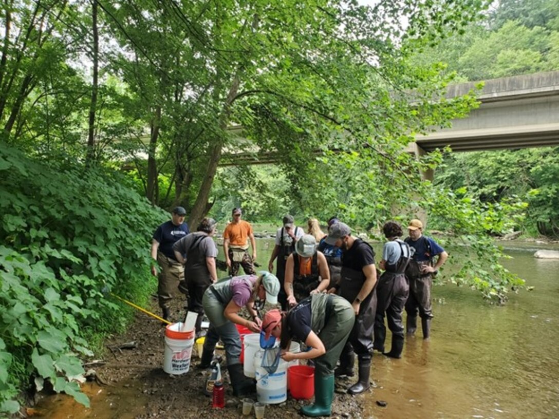 Duquesne University students and Crooked Creek Lake rangers identify fish gathered through electrofishing during the 2021 recreation season. Overall, they identified almost 2,500 fish, revealing 41 species of fish within Crooked Creek Lake’s watershed. (U.S. Army Photo by Christian Clendenning).