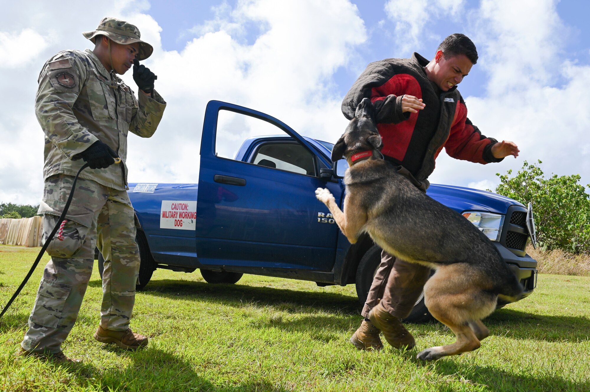 A dog biting a decoy