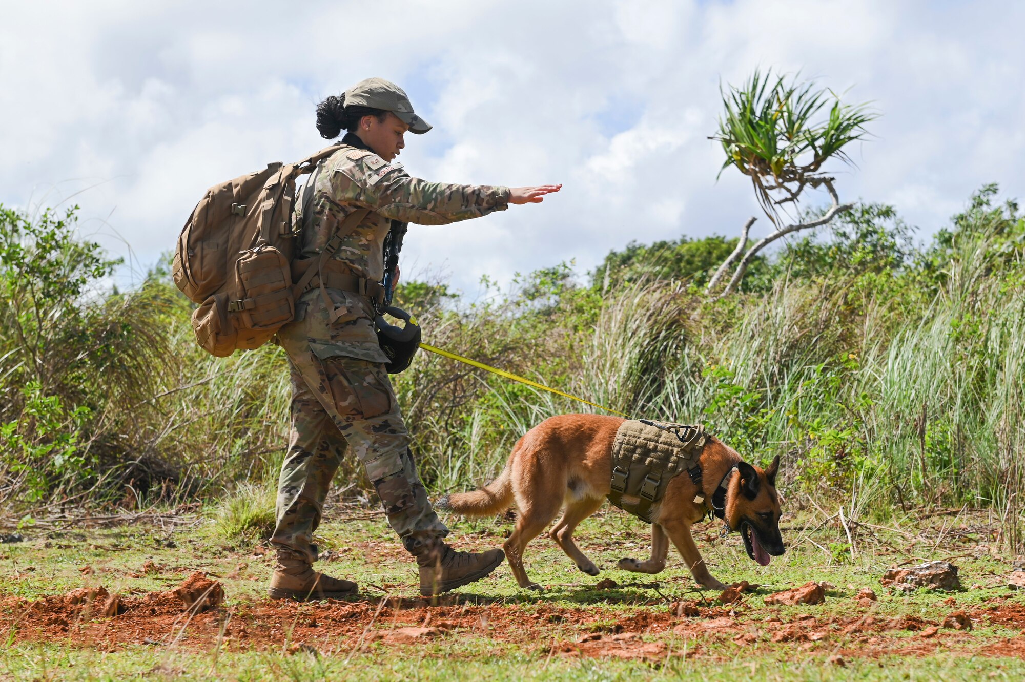 A dog and airman clearing a route