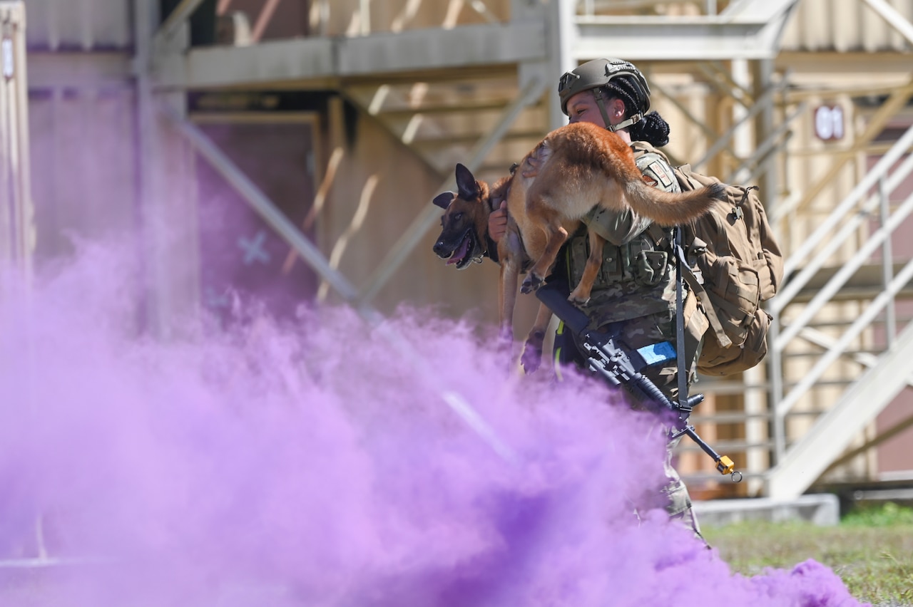 An airman carries a military working dog past a building and purple smoke.