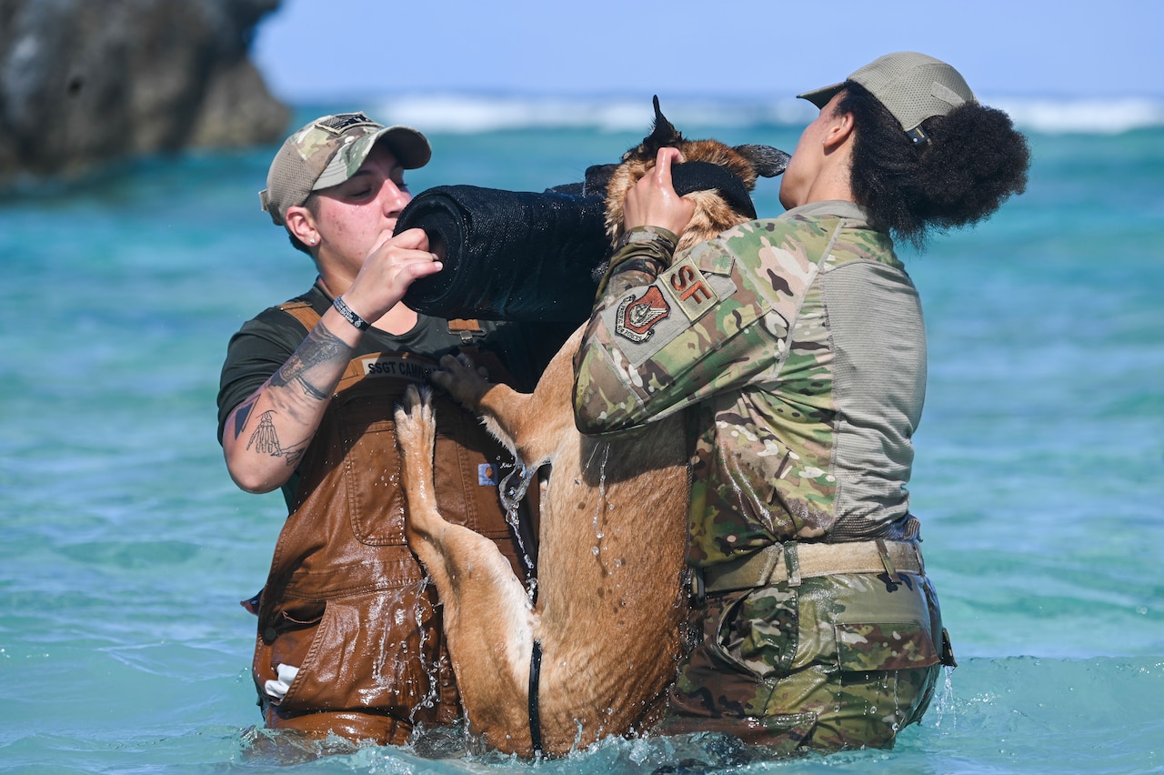 Two airmen hold onto a military working dog in the ocean.