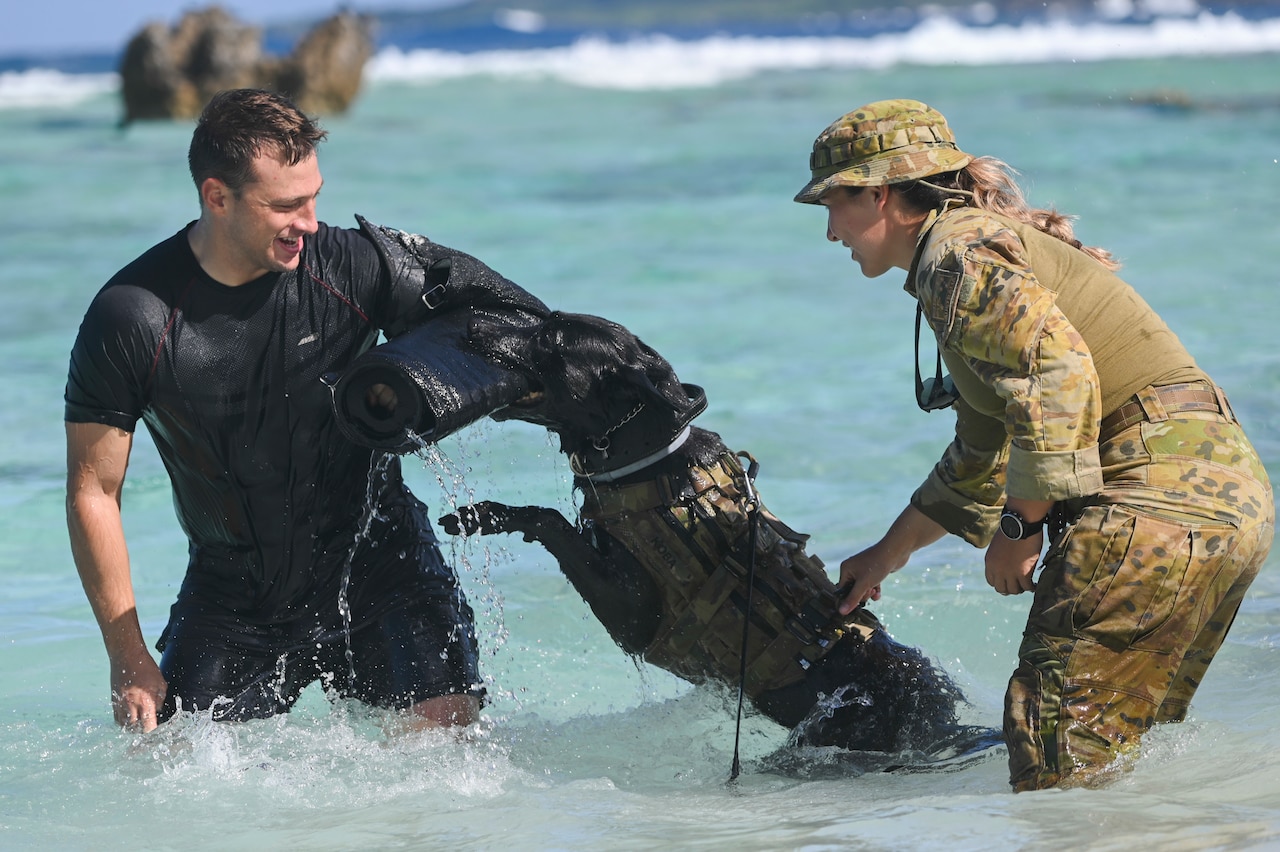 Two people practice bite techniques with a dog in water.