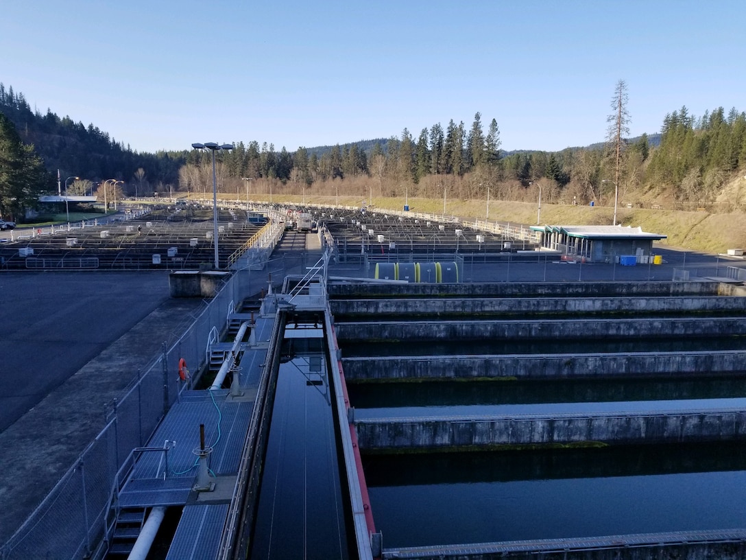 The public can view the Cole M. Rivers Hatchery raceways from an overhead viewing area, March 3, 2020. 

Army engineers and biologists expect power problems at Cole M. Rivers hatchery, in southern Oregon, to impact at least one brood year of fish. U.S. Army Corps of Engineers (Corps) officials had earlier hoped the power failure to only effect one brood year.
The main electrical power feeder from Lost Creek Dam to the Cole M. Rivers Hatchery failed at the end of April 2021. Corps staff initially attempted multiple repairs to the line, but those splices failed due to the age of the cable. Oregon Department of Fish and Wildlife (ODFW) staff have assisted as needed.
