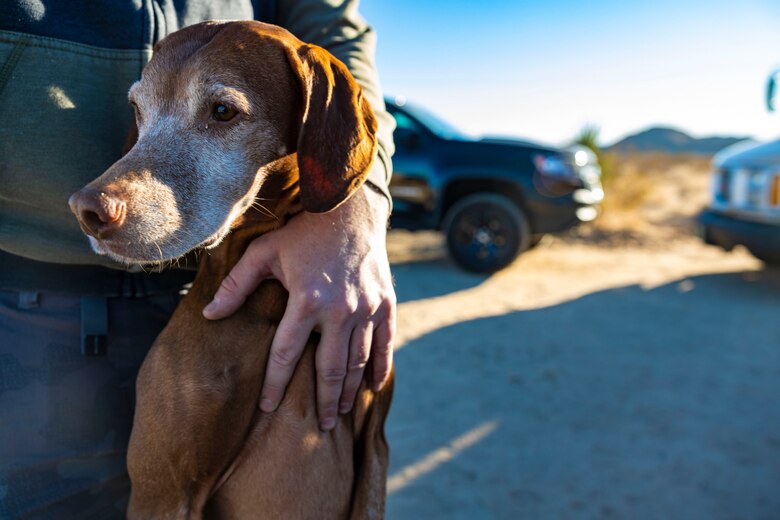 U.S. Marine Corps veteran Justin Blazejewski holds his service dog, Bria, during a LiboRisk event at Joshua Tree National Park, Joshua Tree, California on Jan. 29, 2022. LiboRisk, founded by U.S Marine veteran Jessica Quezada, is a travel community to bring active duty and veteran service members together to further build camaraderie outside the military and expose attendees to new, positive experiences. (U.S. Marine Corps photo by Staff Sgt. Kelsey Dornfeld)