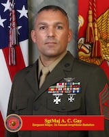 Bio picture for 3rd Assault Amphibian Bn SgtMaj