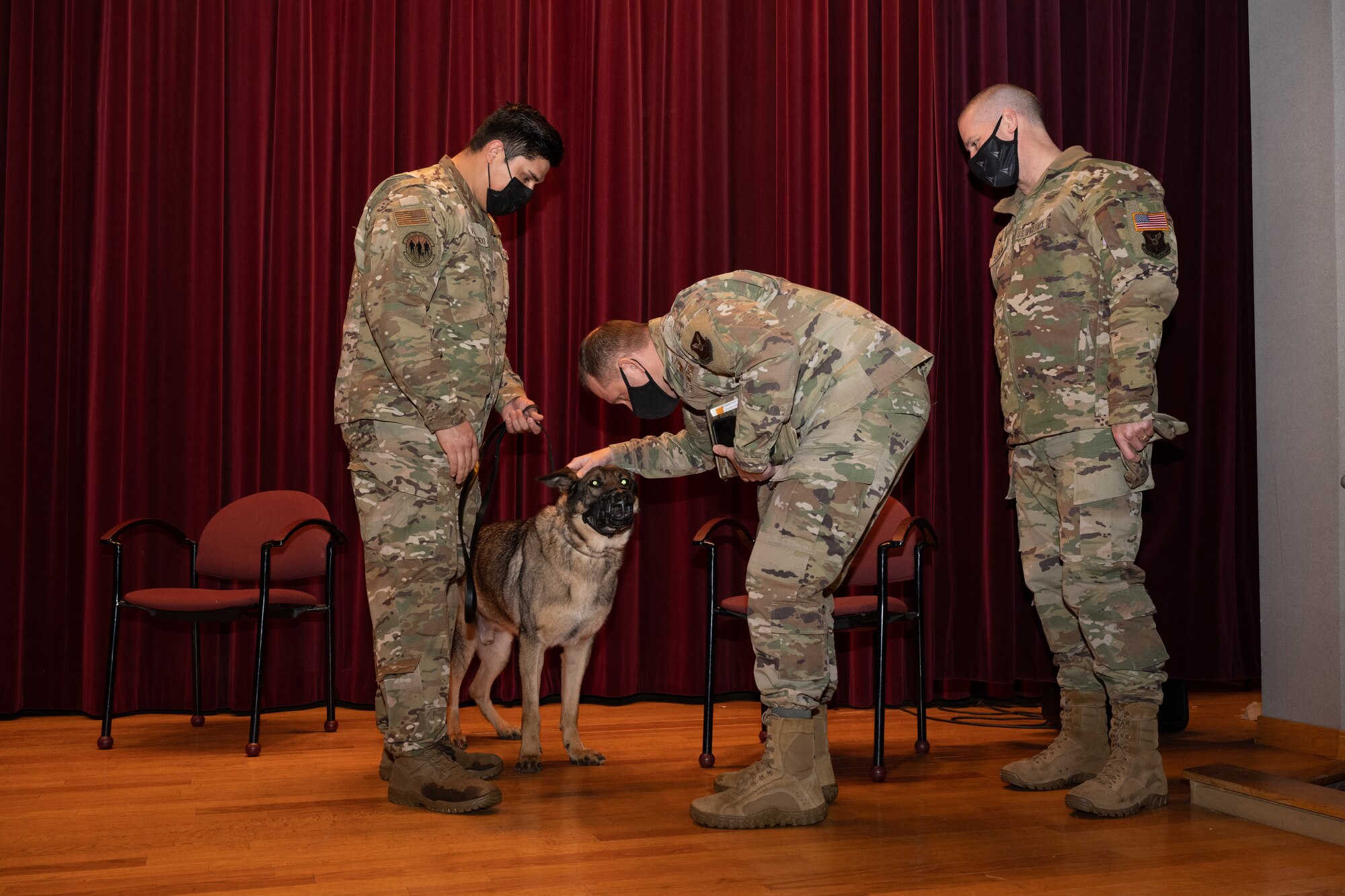 U.S. Air Force Chief Master Sgt. Jason Hodges, 509th Bomb Wing command chief, and U.S. Space Force Col. Christopher Schlak, 509th Mission Support Group commander, congratulate U.S. Air Force Staff Sgt. Alex Villalpando, 509 Security Forces military working dog handler, and MWD Stiffler on Stiffler's retirement at the Whiteman Air Force Base theater Feb. 4, 2022. Military working dogs provide a valuable force multiplier to aid in security and readiness within our units. (U.S. Air Force photo by Airman 1st Class Bryson Britt)