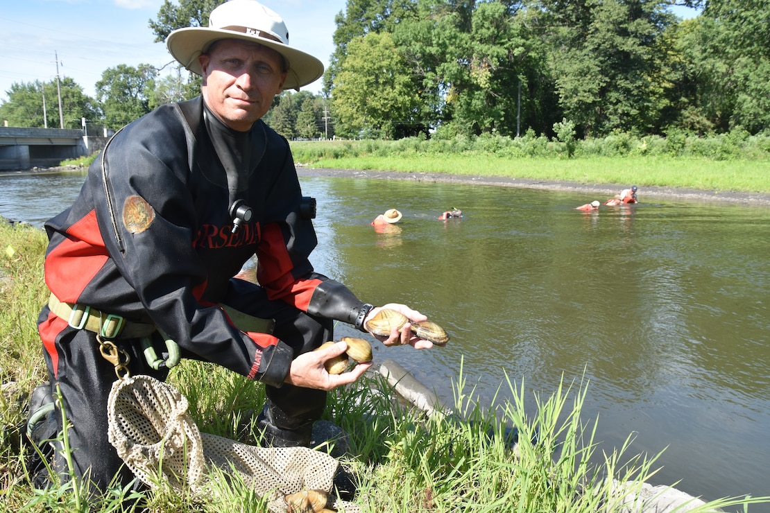 Chippewa Diversion mussel relocation