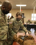 The Louisiana National Guard's Sgt. Kennedy Chapman, the assistant combat medic sustainment program director demonstrates how to properly apply a SWAT-T (stretch, wrap and tuck) tourniquet to a simulated wound on a fake training K9 during a K9 Tactical Combat Casualty Care Course at Camp Beauregard in Pineville, La. on Jan. 28, 2022.