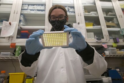 SILVER SPRING, Md. (Feb. 3, 2022) - Julie Norton, a researcher with Naval Medical Research Center (NMRC) reviews results from an assay in the Deployment Associated Infections Division (DAID) laboratory. Part of NMRC’s Operationally Relevant Infections Department, DAID focuses on the advancement of both prophylactic vaccine and immunoprophylaxis products against Campylobacter, E. coli (ETEC), and Shigella mediated diseases that affect the warfighter. (U.S. Navy photo by Michael Wilson/Released)